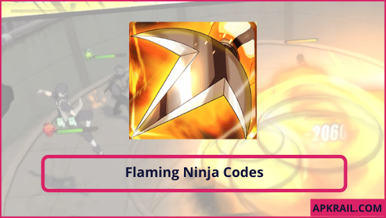 Flaming Ninja Codes
