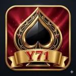 Y71