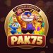 pak75 game